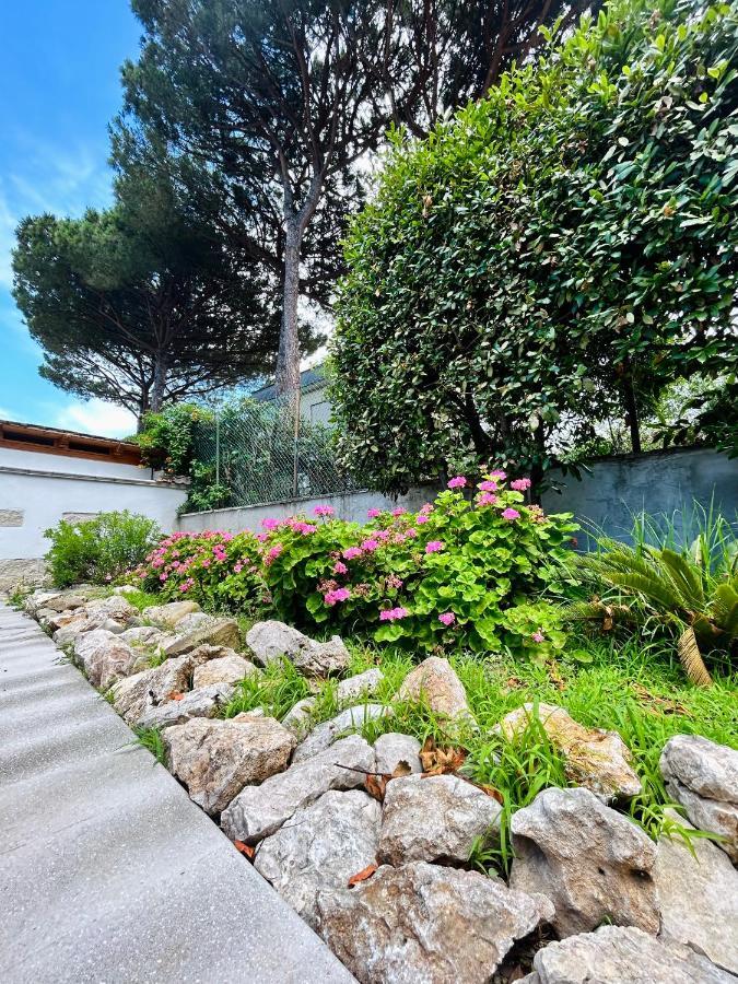 Thalassa Casa Vacanza Anzio Dış mekan fotoğraf